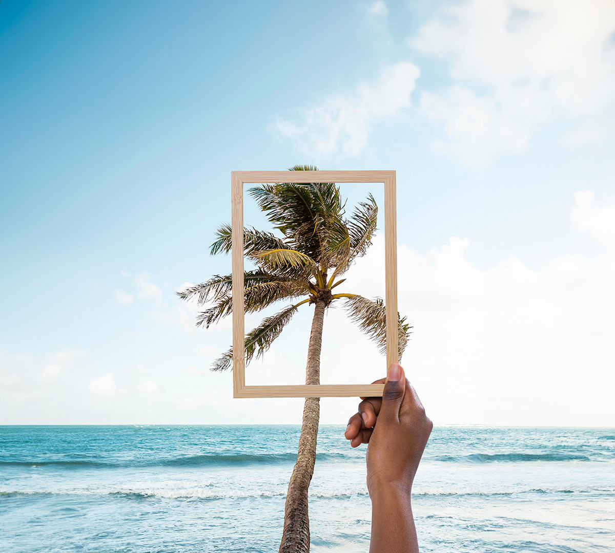 Portrait of a coconut tree
